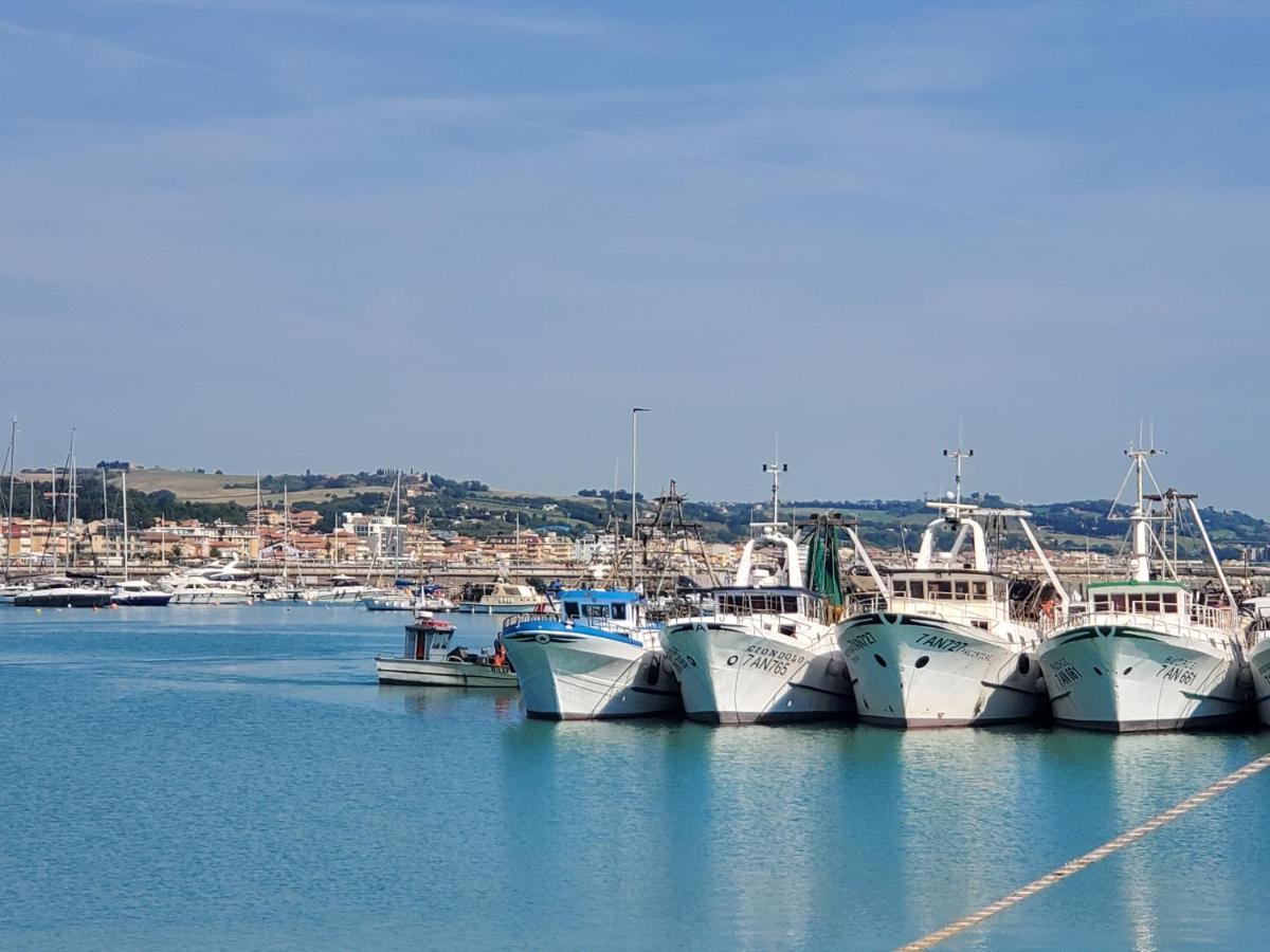 B&B Lido Apartament 10A Civitanova Marche Bagian luar foto