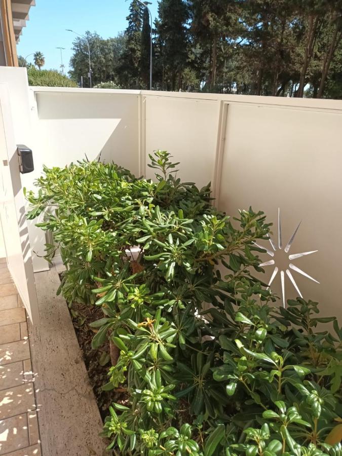 B&B Lido Apartament 10A Civitanova Marche Bagian luar foto
