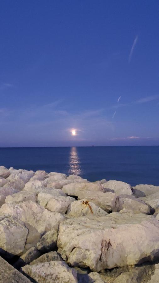B&B Lido Apartament 10A Civitanova Marche Bagian luar foto